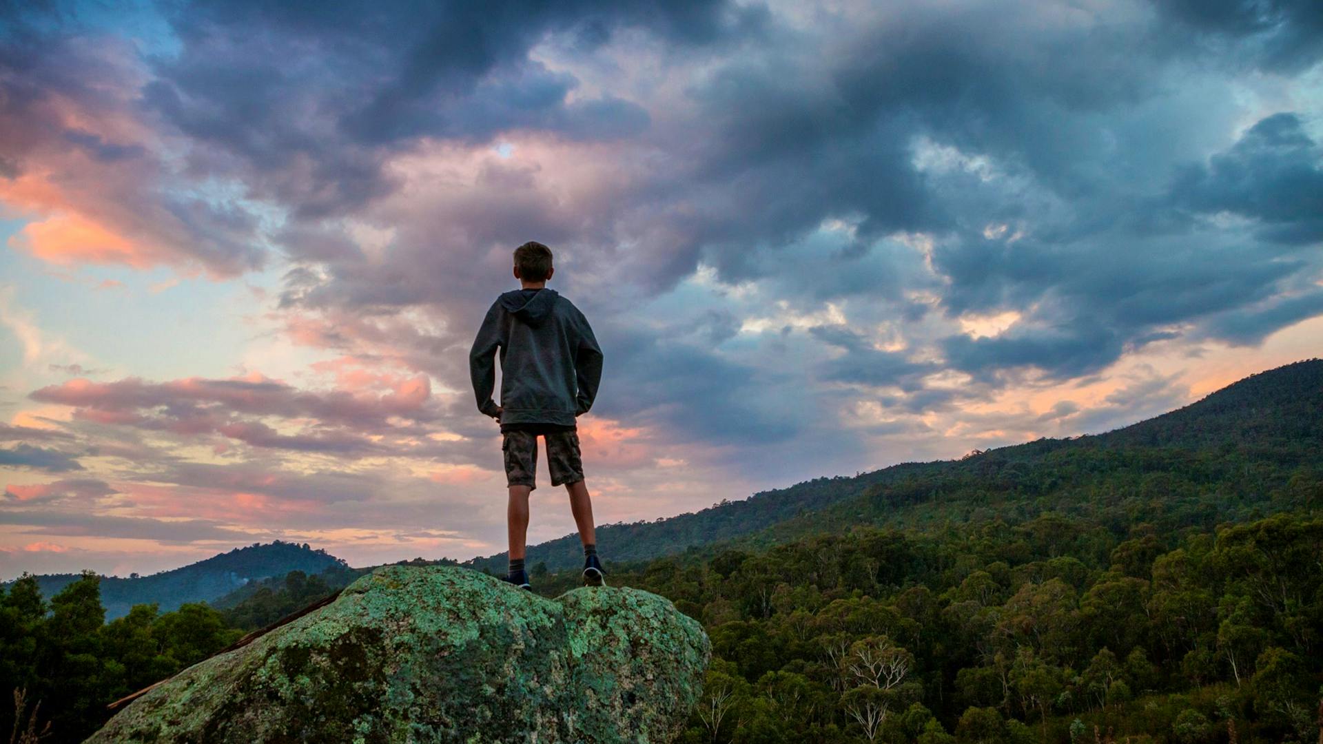 Get Wild! Why Canberra Kids are Climbing the Walls (and Ropes) at Tidbinbilla