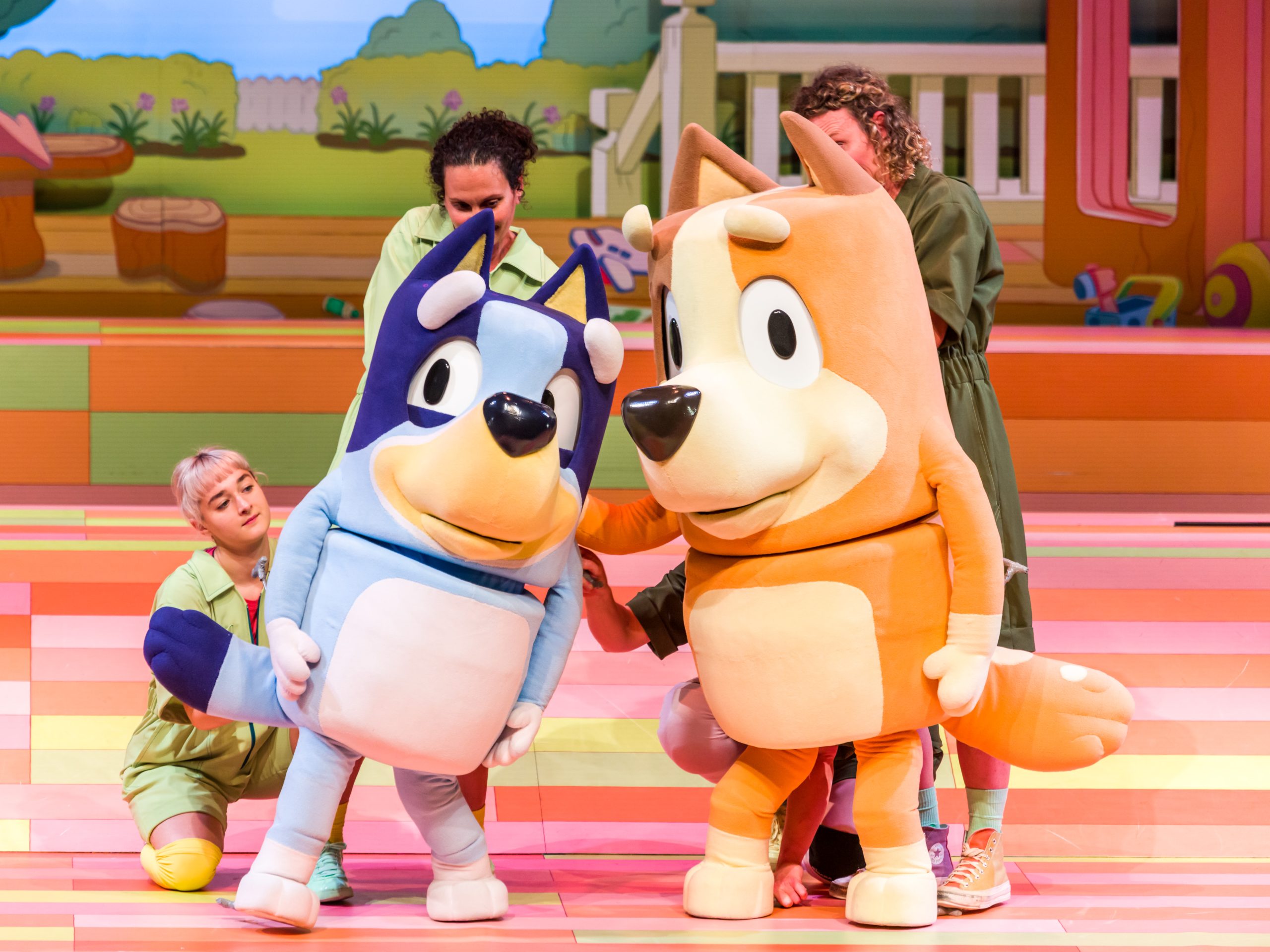 Heeler Family Fun: All the Details for Bluey’s Stage Show in the ACT