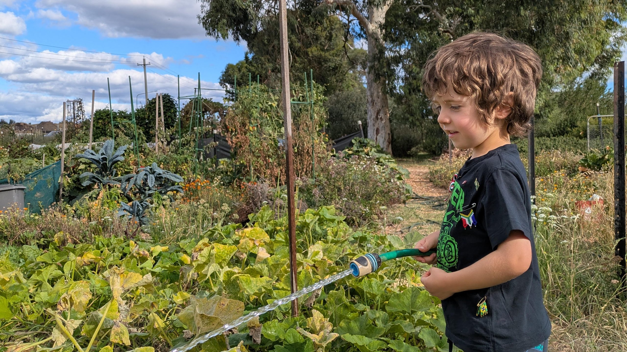 Discover the Fun of Little Green Thumbs Canberra