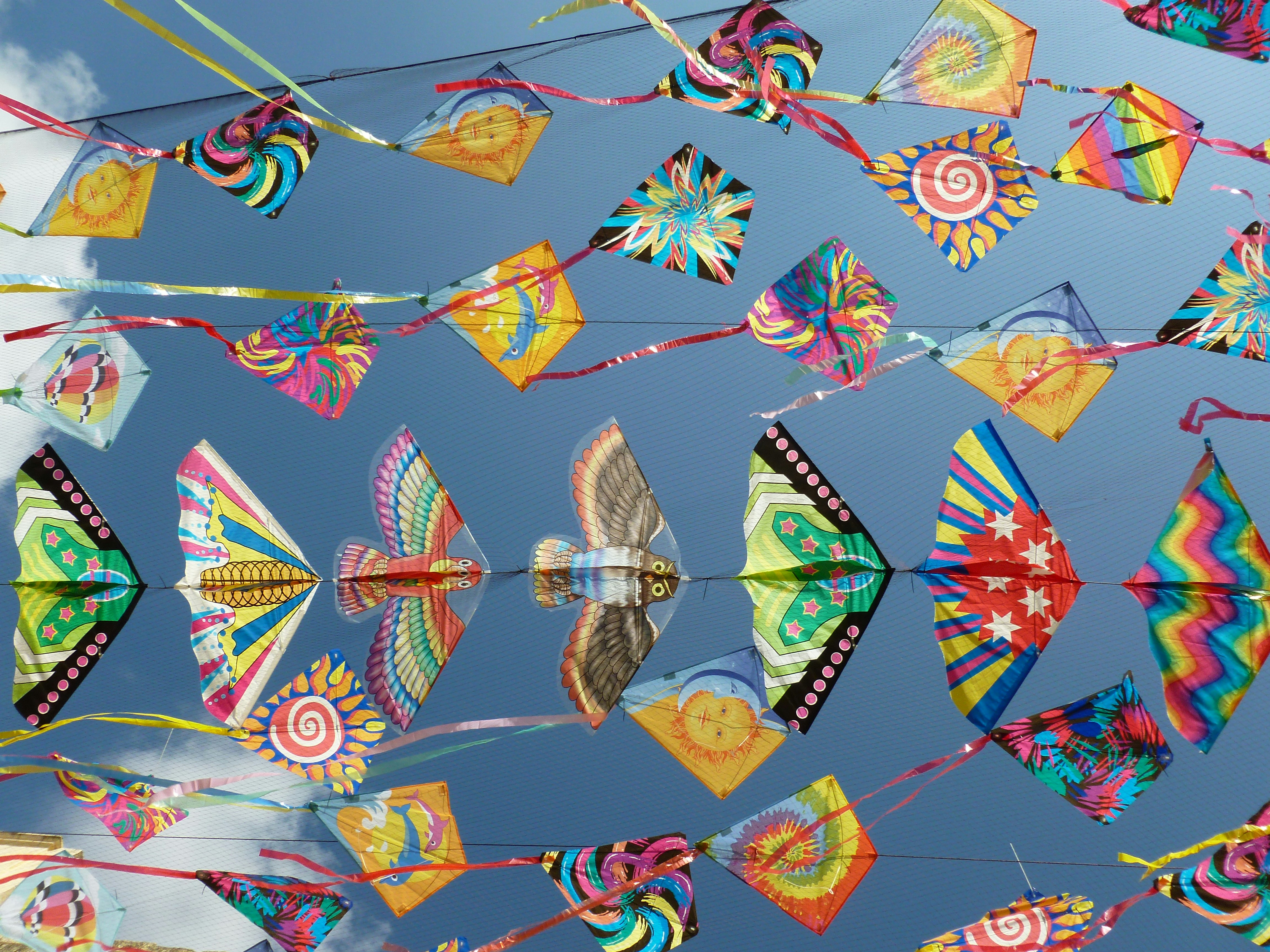 Canberra’s Kite Flying Festival: A High-Flying, Free Family Adventure!