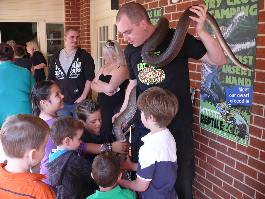 Meet the Scaly Crew at the Canberra Reptile Zoo
