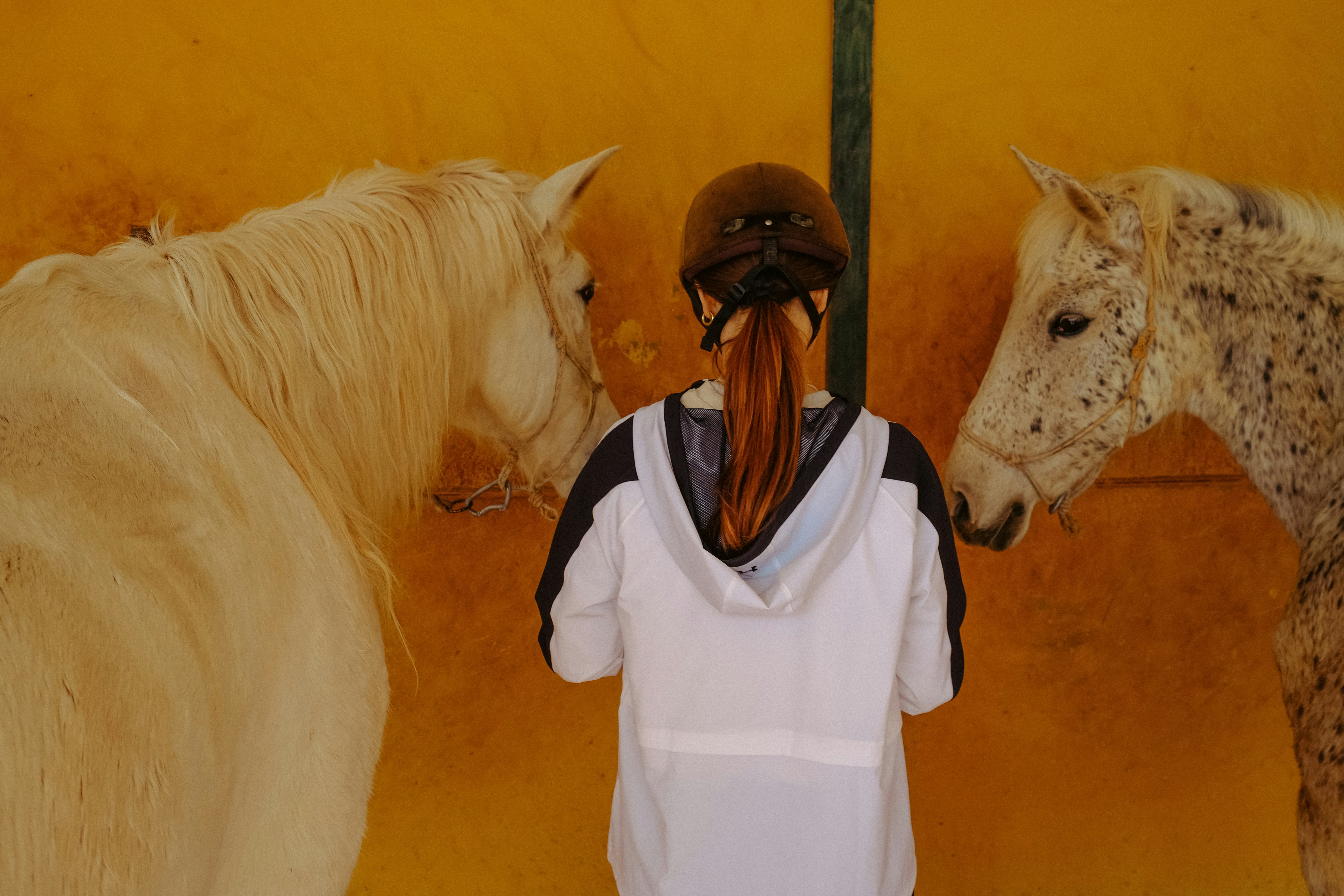 From Beginners to Equestrians: A Fun School Holiday Program Near Canberra